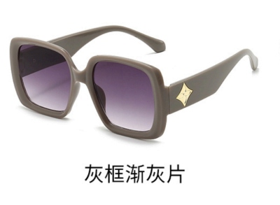 New Sunglasses 215-v-370
