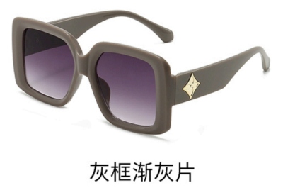 New Sunglasses 215-v-375