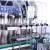 Automatic Water Washing and Protection Products Filling Gland Capping Production Line
