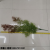 5 Fork Dragon and Phoenix Grass Hanging Water Plants Water Plants Hanging Accessories Plant Wall Matching