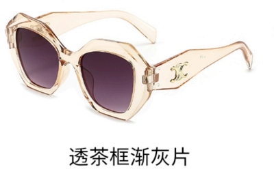 New Sunglasses 215-v-373