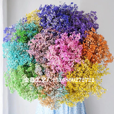 Dried Preserved Flowers Natural Fresh Gypsophila Paniculata Baby's Breath Flower Bouquets Gift for Wedding Decoration Ho