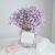 Dried Preserved Flowers Natural Fresh Gypsophila Paniculata Baby's Breath Flower Bouquets Gift for Wedding Decoration Ho