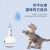 Pet Supplies Amazon New Tumbler Food Leakage Cat Daily Supplies Self-Hi Bell Feather Cat Toy