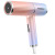 New Hair Dryer TikTok Hair Dryer Negative Ion Home Dormitory Hair Dryer Generation Household Appliance Gift Wholesale