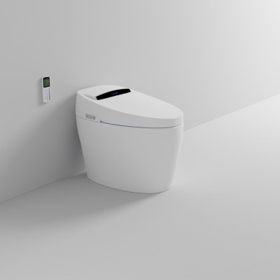 Smart Toilet Household Waterless Pressure Limit Integrated Automatic Design Electric Instant Toilet with Water Tank