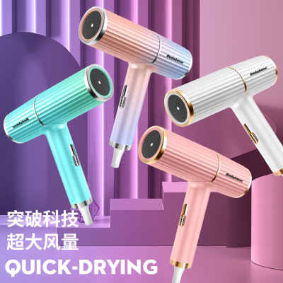 New Hair Dryer TikTok Hair Dryer Negative Ion Home Dormitory Hair Dryer Generation Household Appliance Gift Wholesale