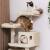 Cat Climbing Frame Factory Direct Sales Cat Climbing Frame Cat Nest Cat Tree Cat Scratch Board Cat Nest Cat Pet Supplies
