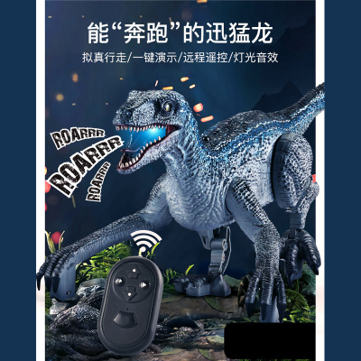 Cross-Border Early Childhood Education Toys Remote Control Dinosaur Electric Walking Simulation Animal Boy Raptor Robot