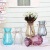 Wholesale Glass Vase Transparent Water Planting Bottle Flower Arrangement Container Living Room Decoration Fresh and Pleasant Colorful Vase