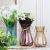 Wholesale Glass Vase Transparent Water Planting Bottle Flower Arrangement Container Living Room Decoration Fresh and Pleasant Colorful Vase