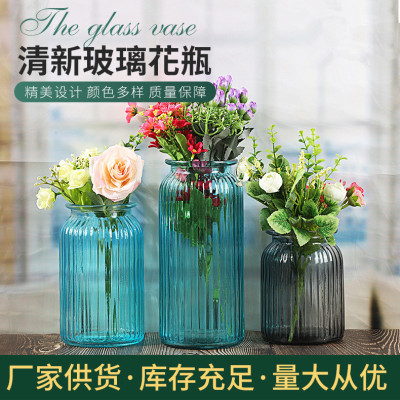 Factory Delivery Vertical Pattern Vase Living Room Home Decoration Decoration Creative Glass Vase Transparent Hydroponic Flower Pot