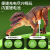 Amazon Children's 2.4G Wireless Remote Control Raptor Electric Sound and Light Artificial Mechanical Dinasour Model Toy