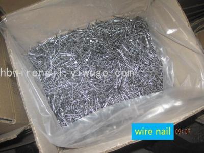 common wire nail iron nail common round iron wire nail good quality cheap price export africa Gana 1''XBWG16