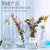 Simple Glass Vase Stall Creative Conical Hydroponic Plant Raindrops Small Vase Vase Ornaments Flower Container