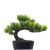 Xiang Rui New Artificial Plant Mini Beauty Pine Tree Small Pot Plant Christmas Pine Tree Home Decoration Floor Decoration Tree Direct Sales
