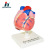 Qinghua 33208 Heart Anatomy Model 1:1 Human Organ Teaching Medical Demonstration Science and Education Instrument Biology