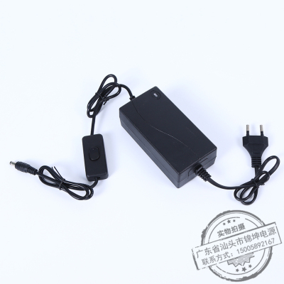 Factory Direct Sales 12 V2A Two-Wire Power Adapter Camera Desktop Switching Power Supply Monitoring Power Wholesale