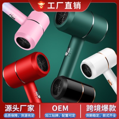 Hair Dryer Hot Sale Internet Celebrity Hammer Constant Temperature Home Dormitory Heating and Cooling Air Negative Ion Hair Dryer Cross-Border Factory Wholesale