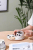 Hot Sale Cartoon Porcelain Coffee Set Creative Panda Ceramic Cup