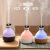New Simple Humidifier USB Charging Hydrating Desktop 5V Aroma Diffuser Anti-Drying Night Light Air Purification Gift