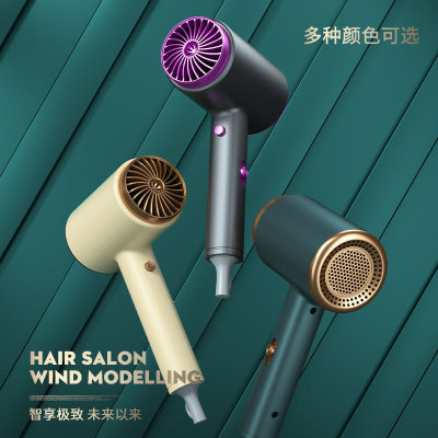 Hot Internet Celebrity Hammer High-Power Hair Dryer Home Hair Salon Hair Dryer Negative Ion Blue Light Hair Dryer Manufacturer