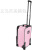 Factory Export Trolley Box Two-Piece Set Zipper Luggage Customized Suitcase Business Boarding Bag Wholesale