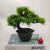 Mini Artificial Bonsai Flower Small Potted Factory Direct Sales Artificial Flower Plant