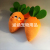 Dog Supplies Plush Sound Toy Wholesale Pet Cat Interactive Toy Mini Carrot Vegetable Toy