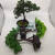 Mini Artificial Bonsai Flower Small Potted Factory Direct Sales Artificial Flower Plant