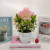 Mini Artificial Bonsai Flower Small Potted Factory Direct Sales Artificial Flower Plant