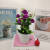 Mini Artificial Bonsai Flower Small Potted Factory Direct Sales Artificial Flower Plant