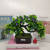 Mini Artificial Bonsai Flower Small Potted Factory Direct Sales Artificial Flower Plant