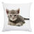Double-Sided Cute Cat Pattern Short Velvet Throw Pillow Cushion Cover Modern Living Room Pillows Bedside Backrest Waist Pillow Cute
