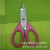 Stainless Steel Home Scissors Large and Small Scissors Kitchen Multi-Functional Scissors Office Student Scissors Factory Wholesale