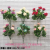 7 Fork Happy Little Peony Artificial Flower Small Bouquet Small Peony Home Furnishings Flower Arrangement Matching