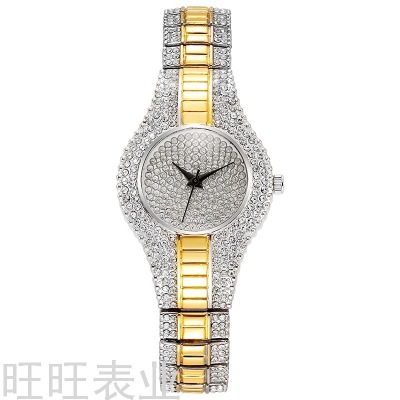 New Cross-Border Starry Light Luxury Women's Watch Diamond Alloy Fashion Steel Belt Women's Quartz Watch Wholesale