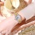 New Cross-Border Starry Light Luxury Women's Watch Diamond Alloy Fashion Steel Belt Women's Quartz Watch Wholesale