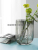Simple Nordic Instagram Style Light Luxury U-Shaped Glass Vase Transparent Flowers Aquatic Living Room Dining Table Dried Flower Decorative Ornament
