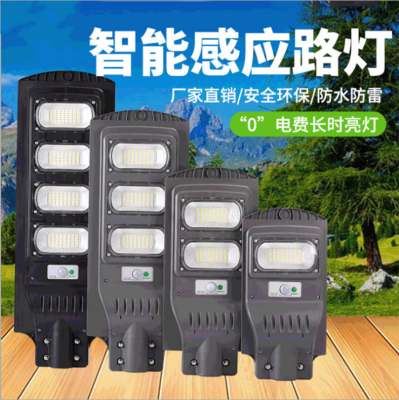 30W 60W 90W 120W Solar Street Lamp Integrated Human Body Induction Street Lamp Prince Street Lamp