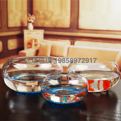 Modern Simple Thick Large Transparent Fish Tank Turtle Jar Lucky Tank