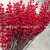 Artificial  Red Berry Foam Flower Christmas Wedding Home Furnishing Party Decorated Flower Berry Artificial Flower branc