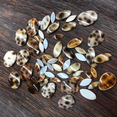 Tabby Shell Cutting Horse Eye Oval Water Drop DIY Ornament Inlaid Picture Frame Accessories Craft Accessories