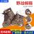 Wholesale Camouflage High-Top Cotton Shoes Winter Training Outdoor Cold-Proof Snow Boots Labor Protection Shoes Wool Warm Men's and Women's Cotton Shoes
