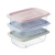 Factory Direct Sales Plastic Crisper Kitchen Fruit Food Box Refrigerator Covered Transparent Food Storage Box 3 Pack