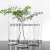 Floor Straight Large Transparent Glass Vase Wedding Road Lead Cylindrical Vase Living Room Lucky Bamboo Hydroponic Decoration