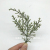  Green Leaves Fake Wedding Scrapbooking Christmas Decorative Flowers Wreaths Vases for Home Decor Artificial Plants