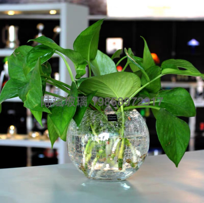 About Vase Transparent Cup Creative Hydroponics Flowerpot Plant Home Living Room Decorations Growing Flower Decoration Glass Glass Bottle