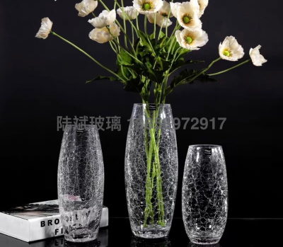 Glass Ice Flower Transparent Modern Simple Hydroponic Household Dried Flower Arrangement Large Water Lucky Bamboo Living Room Dining Table Vase