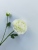 Hot Sale Artificial Lasagna Flower Artificial Rose Home Wedding Ornamental Flower